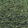 Dill Weed